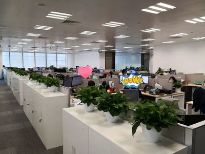 喬遷大吉！級掌柜新辦公空間全面揭秘，科技與舒適完美融合